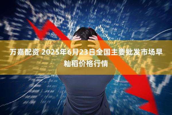 万嘉配资 2025年6月23日全国主要批发市场早籼稻价格行情