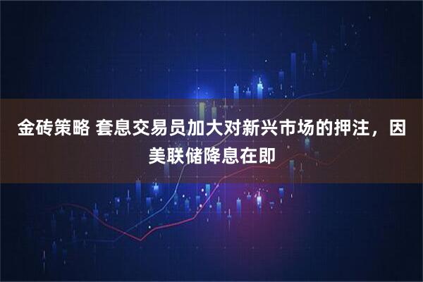 金砖策略 套息交易员加大对新兴市场的押注，因美联储降息在即
