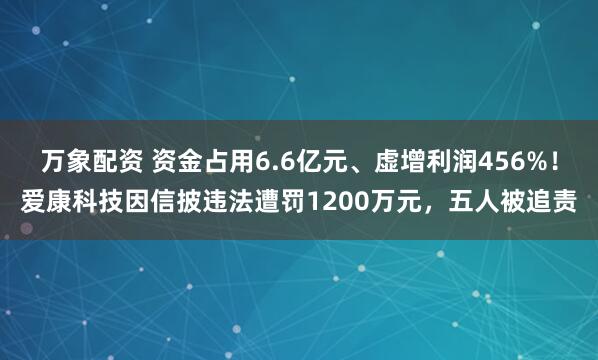 万象配资 资金占用6.6亿元、虚增利润456%！爱康科技因信披违法遭罚1200万元，五人被追责