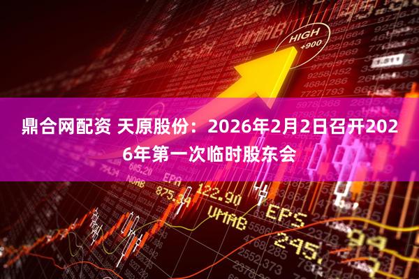 鼎合网配资 天原股份：2026年2月2日召开2026年第一次临时股东会